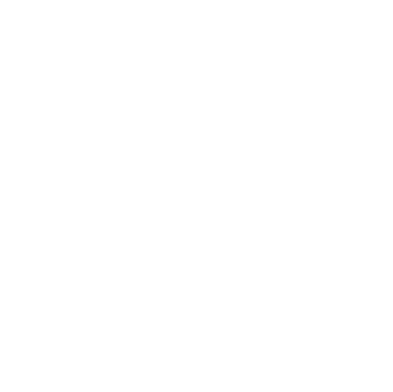 Razon Security